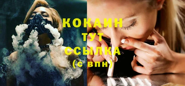 соль ск Алзамай