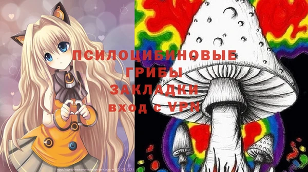 соль ск Алзамай