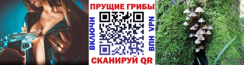 Псилоцибиновые грибы Magic Shrooms  Салехард 