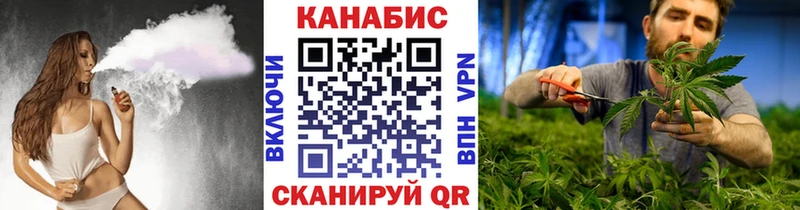 Бошки Шишки планчик  Салехард 